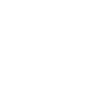 BSL — Business School Lausanne